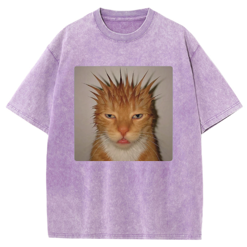 Wild Hair Cat Washed T-shirt - Image 5