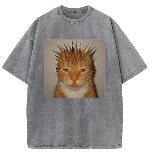 Wild Hair Cat Washed T-shirt - Image 2