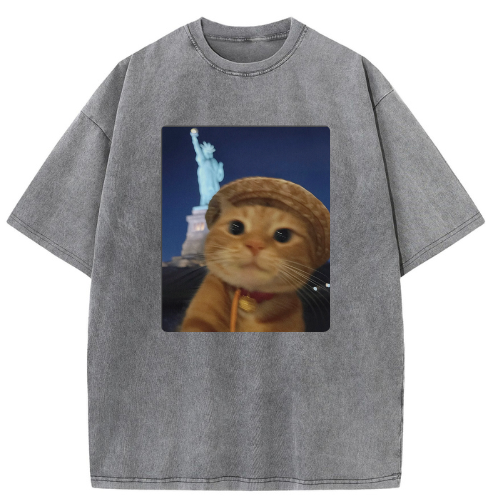 Paris Victory Cat Washed T-shirt - Image 2