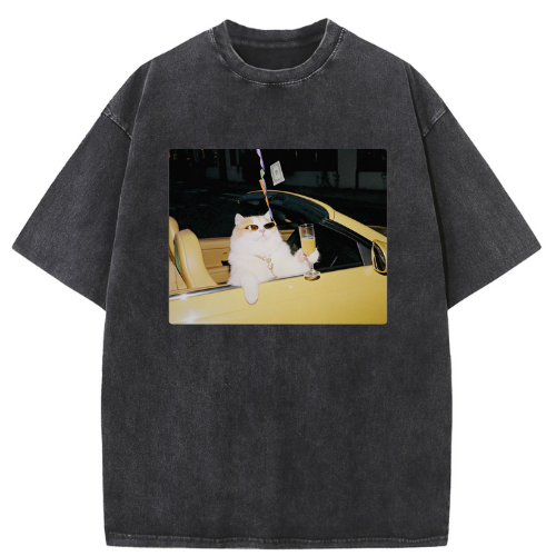 Cool Convertible Cat Washed T-shirt