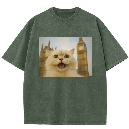 London Big Ben Cat Washed T-shirt - Image 3